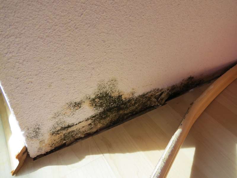 BAU.DE / BAU-Forum: 2. Bild zu Frage "Schimmel im Innenbereich auf und oberhalb der Sockelleiste / Fußleiste festgestellt" im BAU-Forum "Innenwände" BAU.DE / BAU-Forum: 2. Bild zu Frage "Schimmel im Innenbereich auf und oberhalb der Sockelleiste / Fußleiste festgestellt" im BAU-Forum "Innenwände"