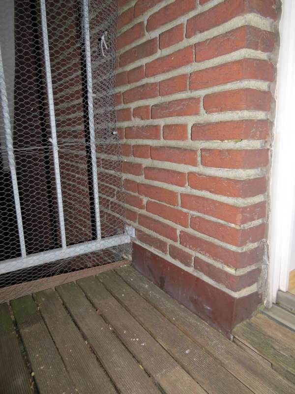 BAU.DE / BAU-Forum: 1. Bild zu Antwort "Ergänzung zu Schimmel im Innenbereich auf und oberhalb der Sockelleiste / Fußleiste festgestellt" auf die Frage "Schimmel Sockelleiste: Ursachen, Entfernung & Vorbeugung im Innenraum?" im BAU-Forum "Innenwände" BAU.DE / BAU-Forum: 1. Bild zu Antwort "Ergänzung zu Schimmel im Innenbereich auf und oberhalb der Sockelleiste / Fußleiste festgestellt" auf die Frage "Schimmel Sockelleiste: Ursachen, Entfernung & Vorbeugung im Innenraum?" im BAU-Forum "Innenwände"