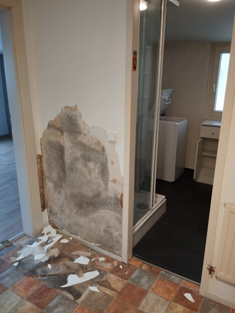 BAU.DE / BAU-Forum: 1. Bild zu Frage "Schimmelbildung Innenwand: Ursachen finden & Beseitigung – Was tun bei Schimmel?" im BAU-Forum "Innenwände" BAU.DE / BAU-Forum: 1. Bild zu Frage "Schimmelbildung Innenwand: Ursachen finden & Beseitigung – Was tun bei Schimmel?" im BAU-Forum "Innenwände"