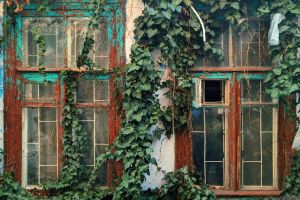 So erkennen Sie den perfekten Zeitpunkt für den Austausch Ihrer Fenster - Bild: Vadim Babenko / Unsplash So erkennen Sie den perfekten Zeitpunkt für den Austausch Ihrer Fenster - Bild: Vadim Babenko / Unsplash