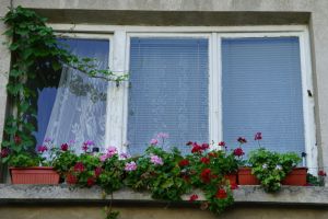 Der Fensteraustausch bezieht sich auf den Vorgang, bei dem alte oder beschädigte Fenster durch neue, energieeffizientere und modernere Modelle ersetzt werden. Der Fensteraustausch bezieht sich auf den Vorgang, bei dem alte oder beschädigte Fenster durch neue, energieeffizientere und modernere Modelle ersetzt werden.
