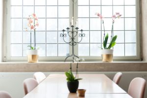 So erkennen Sie den perfekten Zeitpunkt für den Austausch Ihrer Fenster - Bild: Michal Vrba / Unsplash So erkennen Sie den perfekten Zeitpunkt für den Austausch Ihrer Fenster - Bild: Michal Vrba / Unsplash