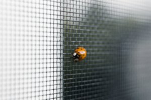 Insektenschutz bezeichnet im baulichen Kontext Systeme, die an Fenstern, Türen und Lichtschächten installiert werden, um das Eindringen von Insekten in Gebäude zu verhindern, ohne dabei die Frischluftzufuhr oder die Sicht nach außen signifikant zu beeinträchtigen. Insektenschutz bezeichnet im baulichen Kontext Systeme, die an Fenstern, Türen und Lichtschächten installiert werden, um das Eindringen von Insekten in Gebäude zu verhindern, ohne dabei die Frischluftzufuhr oder die Sicht nach außen signifikant zu beeinträchtigen.