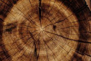 Holzöl ist ein spezielles Öl, das zur Pflege und zum Schutz von Holzoberflächen verwendet wird. Holzöl ist ein spezielles Öl, das zur Pflege und zum Schutz von Holzoberflächen verwendet wird.