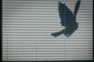 Materialkunde für Profis: Hochwertige Stoffe und Technologien im Plissee-Markt - Bild: Foto von Mavi Atlas auf Unsplash Materialkunde für Profis: Hochwertige Stoffe und Technologien im Plissee-Markt - Bild: Foto von Mavi Atlas auf Unsplash