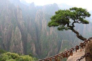 Eine Naturkatastrophe ist ein plötzliches, extremes und oft zerstörerisches Ereignis in der Natur, das menschliches Leben, Eigentum und die Umwelt bedroht oder schädigt. Eine Naturkatastrophe ist ein plötzliches, extremes und oft zerstörerisches Ereignis in der Natur, das menschliches Leben, Eigentum und die Umwelt bedroht oder schädigt.