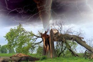 Besser vorbereitet: Strategien zur Absicherung Ihres Zuhauses gegen Naturgewalten und Extremwetter - Bild: Barroa / Pixabay Besser vorbereitet: Strategien zur Absicherung Ihres Zuhauses gegen Naturgewalten und Extremwetter - Bild: Barroa / Pixabay