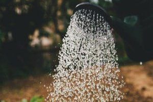 Zisternenbau im Garten: Das gilt es zu beachten! - Bild: Markus Spiske auf Unsplash Zisternenbau im Garten: Das gilt es zu beachten! - Bild: Markus Spiske auf Unsplash