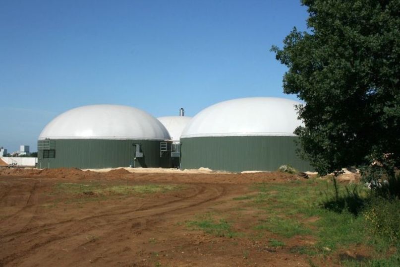 Biomasse: CO2-neutrale Energie aus nachhaltigen Quellen