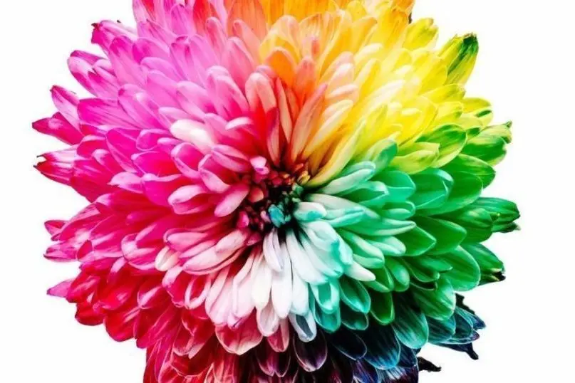 Farben beeinflussen Stimmungen und Empfindungen in hohem Ma&szlig;e