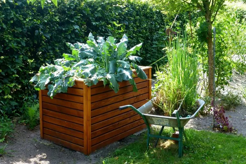 Perfekter Standort und Vorbereitung f&uuml;r Ihr Hochbeet