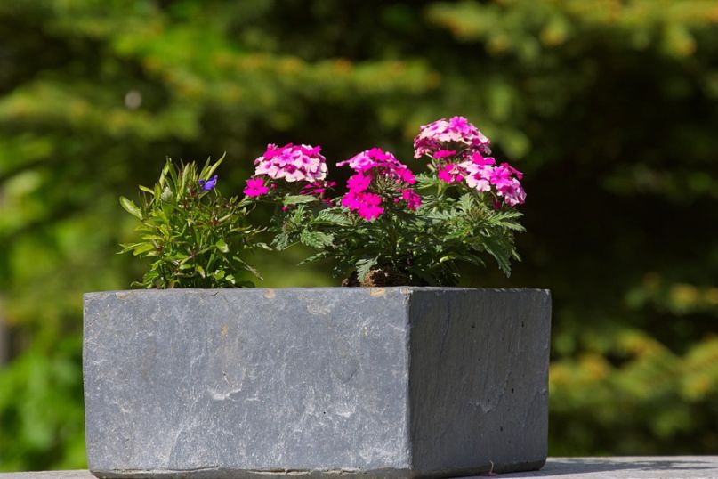 Attraktives Design f&uuml;r jeden Gartenstil